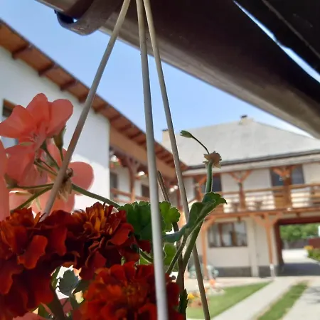 Guest house Casa Gabriela