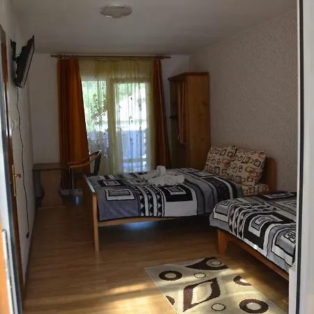 Guest house Casa Gabriela Viseu de Sus