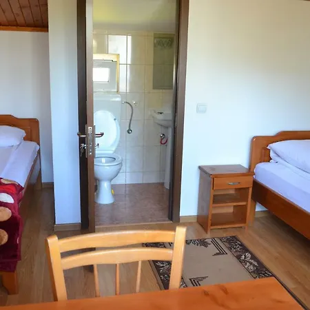 Casa Gabriela Guest house Viseu de Sus